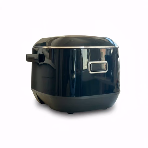 OBH Nordica Versatile rice cooker 电饭锅